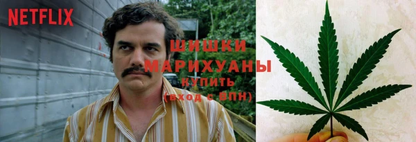ГАЛЛЮЦИНОГЕННЫЕ ГРИБЫ Алзамай