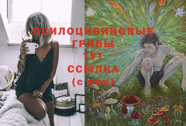 ГАЛЛЮЦИНОГЕННЫЕ ГРИБЫ Алзамай