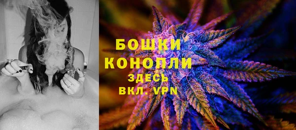 ГАЛЛЮЦИНОГЕННЫЕ ГРИБЫ Алзамай