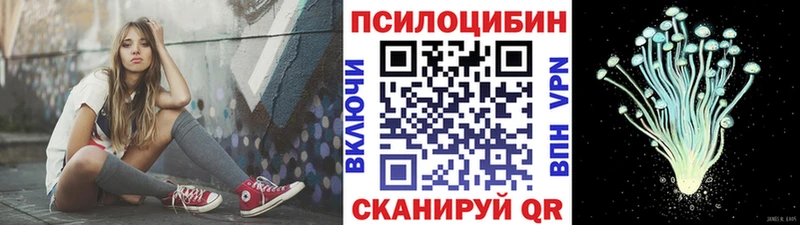 Псилоцибиновые грибы Psilocybe  Одинцово 