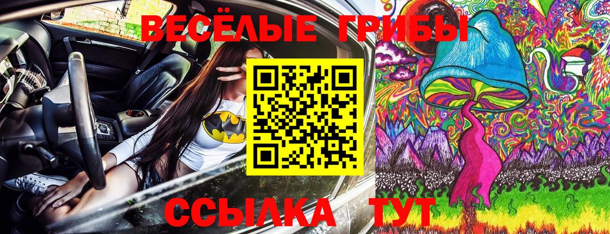 Псилоцибиновые грибы GOLDEN TEACHER Одинцово