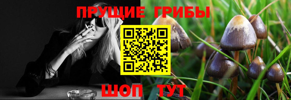 Одинцово  Галлюциногенные грибы мицелий  Вход с VPN  Псилоцибиновые грибы Psilocybe 